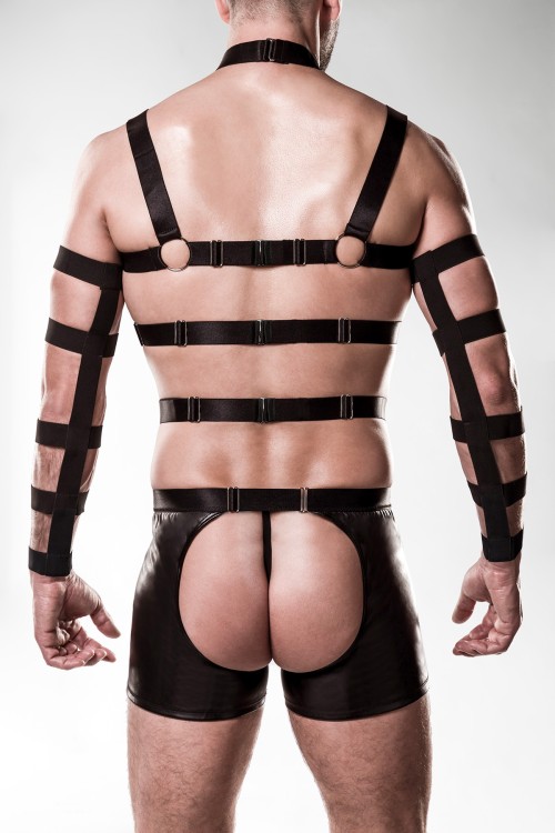 5-teilges Harness-Set 20050 - 2XL/3XL