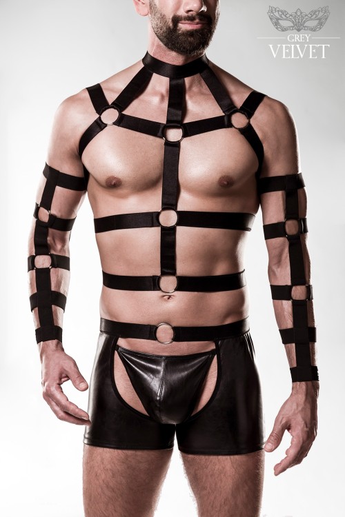 5pcs Harness-Set 20050 - 2XL/3XL