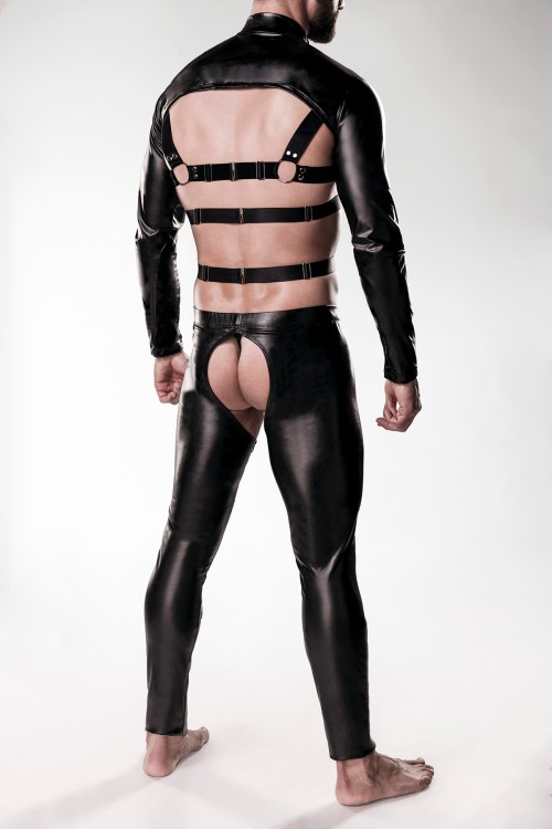 3pcs Harness-Set 20055 - L/XL