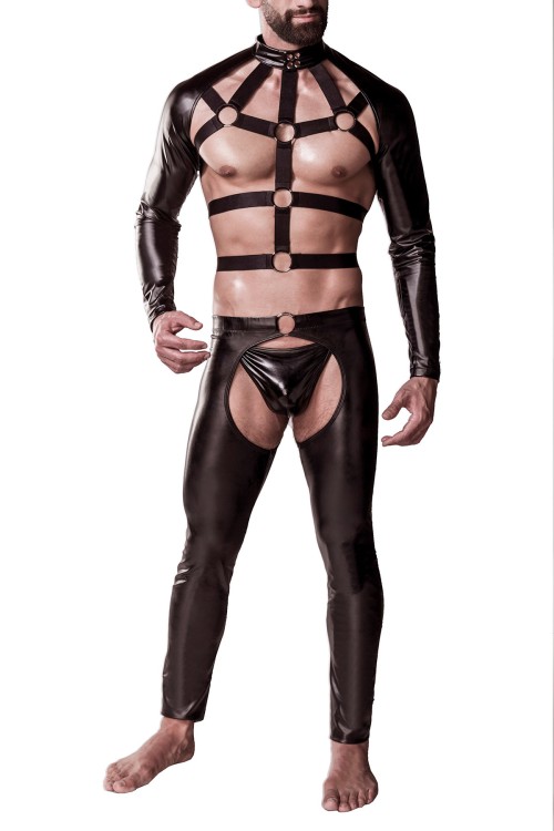 3-teilges Harness-Set 20055 - L/XL