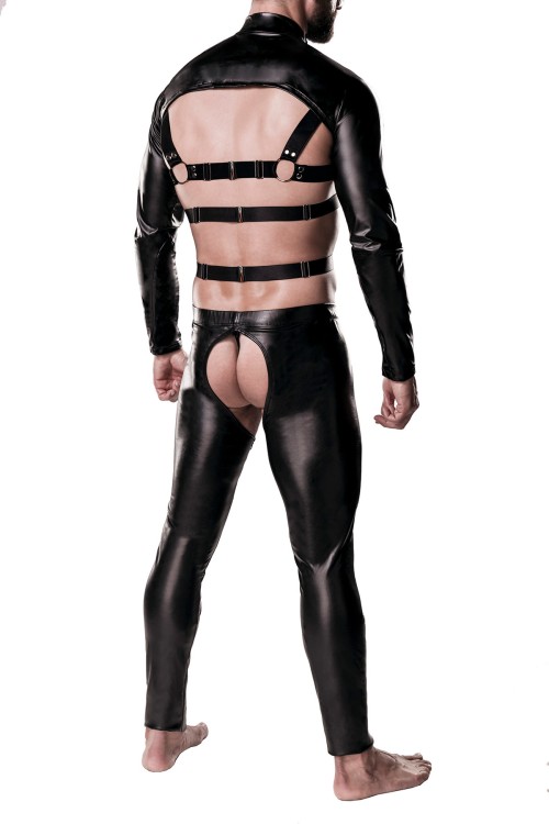 3-teilges Harness-Set 20055 - L/XL