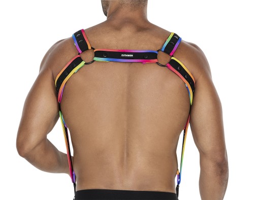 mehrfarbiger Brust-Harness 05 - OS