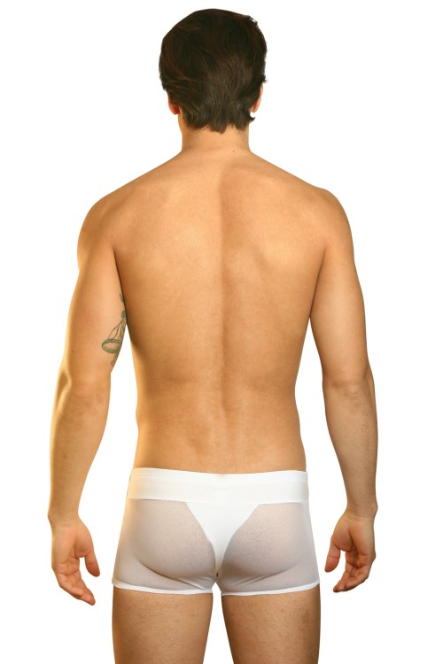 white Boxer Open Spirit XL by Look Me