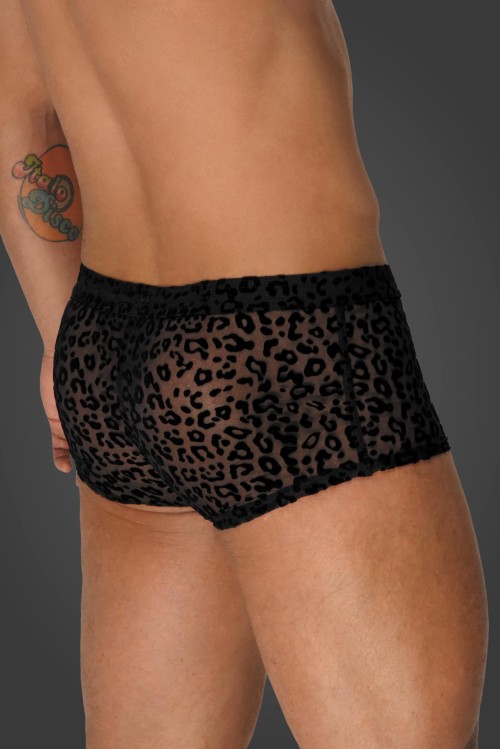 Leopard flock Shorts H072 - XL