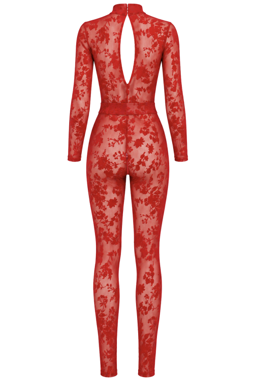 F414 Lovebite Plunging V Catsuit - XS