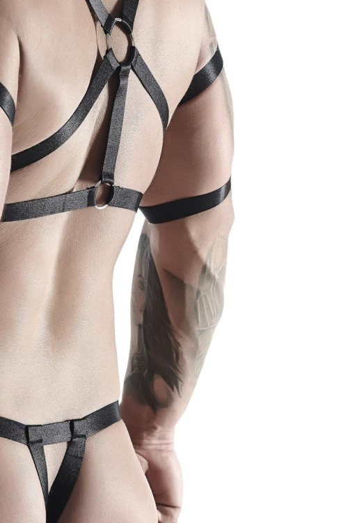 harness SET011 black - L/XL